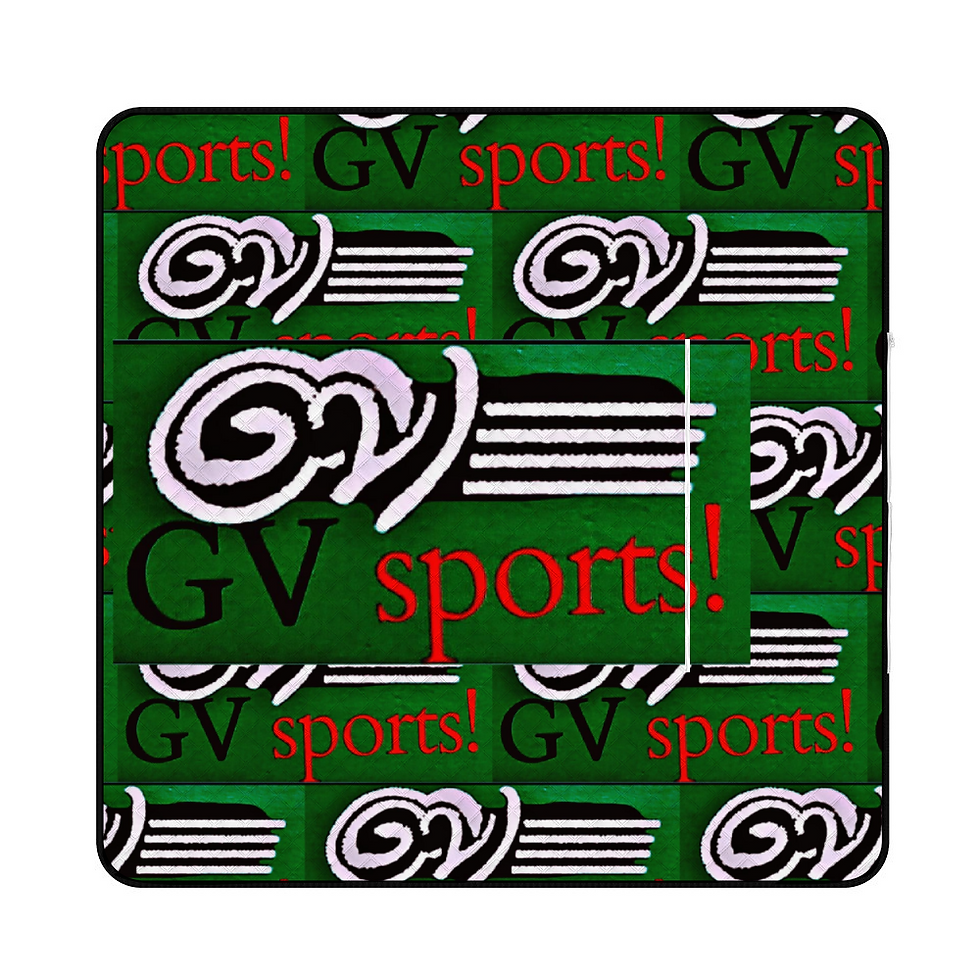 Zipper Style Picnic Mat Waterproofing and Heat Insulation Picnic Blanket