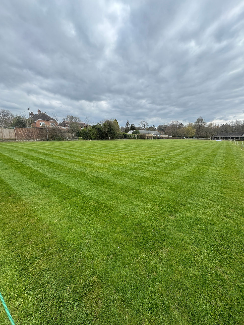 striped lawn