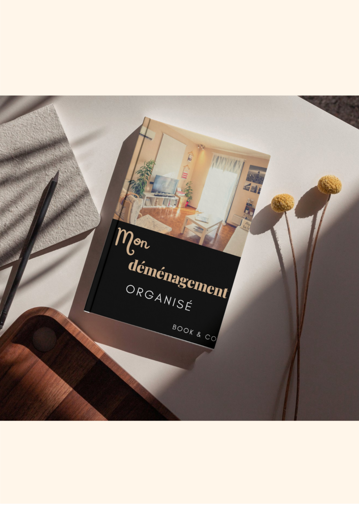 Mon déménagement organisé