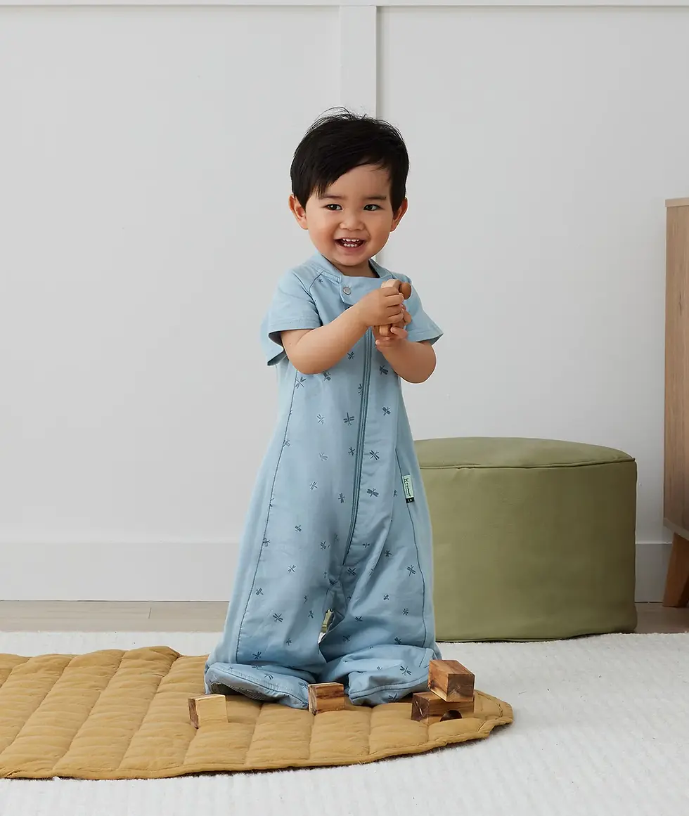 Thumbnail: Sleep Suit Bag 1.0 Tog Dragonflies