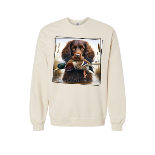 Thumbnail: Boykin Hunting Dog
