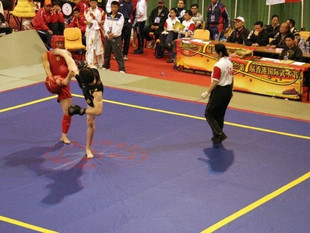 Le 1er cours de SANDA (boxe chinoise) aura lieu le mercredi 16 septembre !
