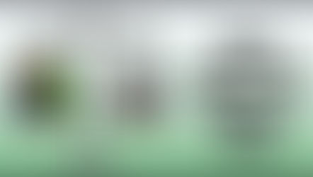 Why the Balance Sheet is Important