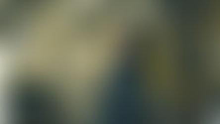 Transporte público em viagem. 