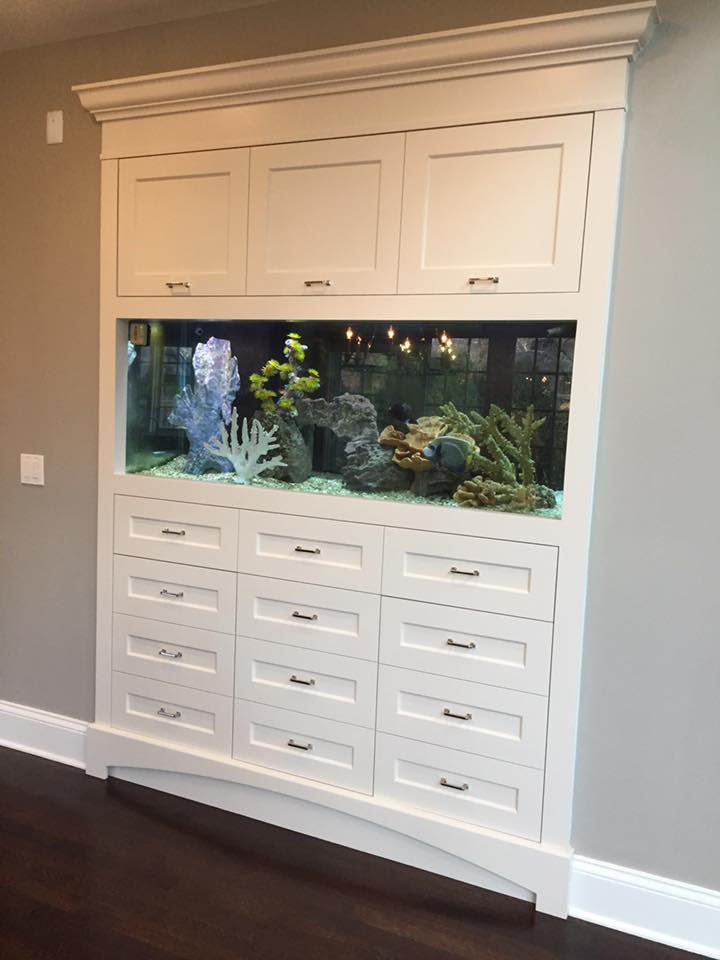 Built-In Fish Tank