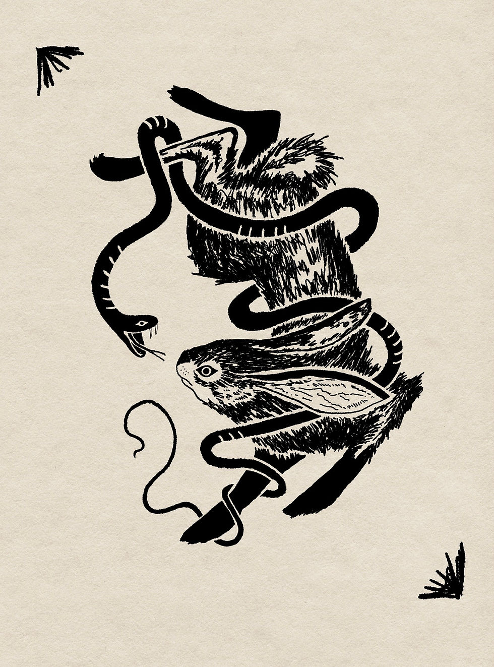 Hare and snake