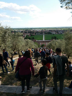 20170417_165110_resized