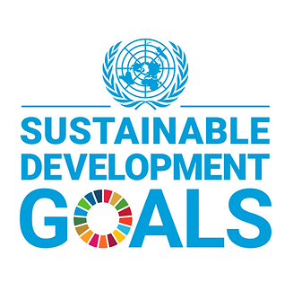 SDG.png