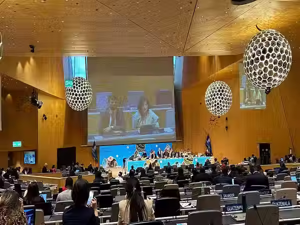 WIPO treaty conference
