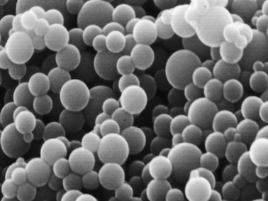 Screenshot 2025-12-21 at 4.20.32 PM.png