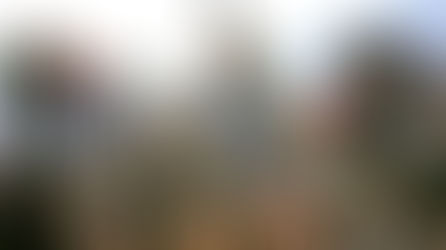 თურქეთის ვა-ბანკი