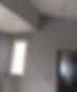 Plastering - Roche Building.jpeg