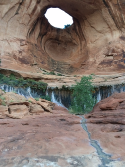 Below Bow-tie Arch