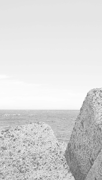 guillermo palenzuela