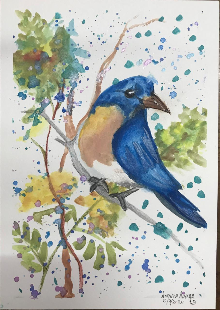 birdie~.jpg