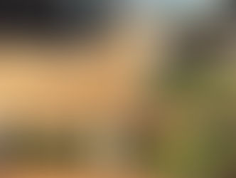 A fun day in the Croft