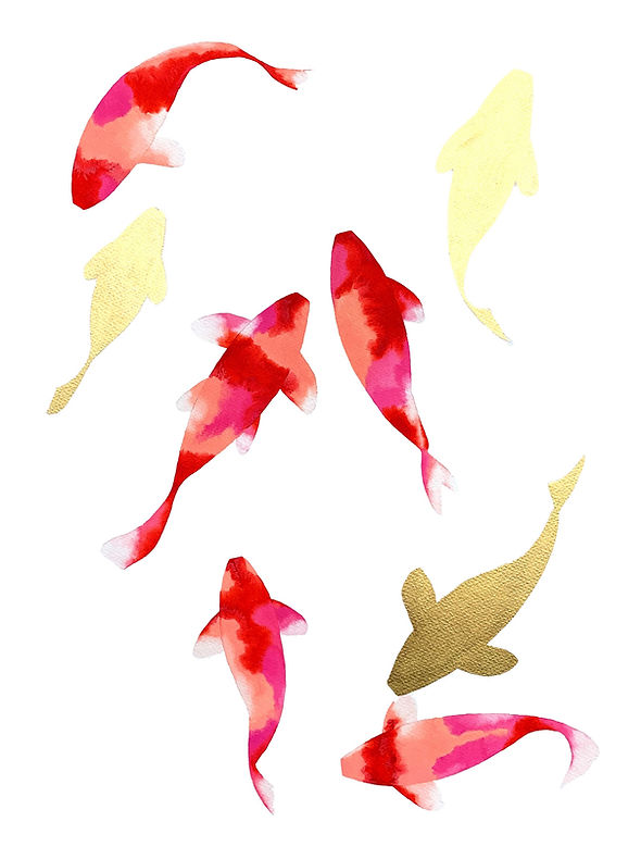 Red pink koi new no background_edited.jpg