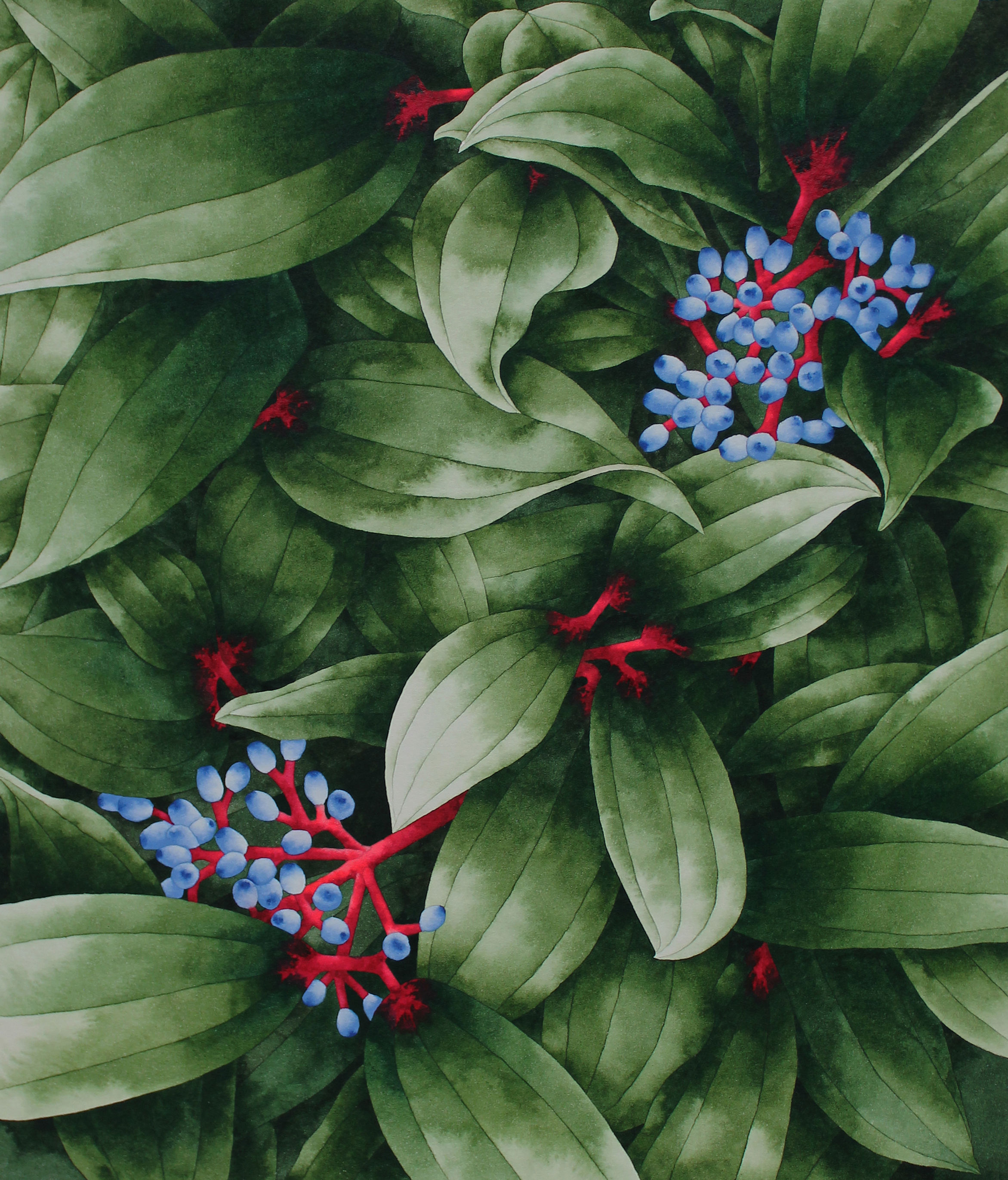 Summer Foliage - Dyrham I