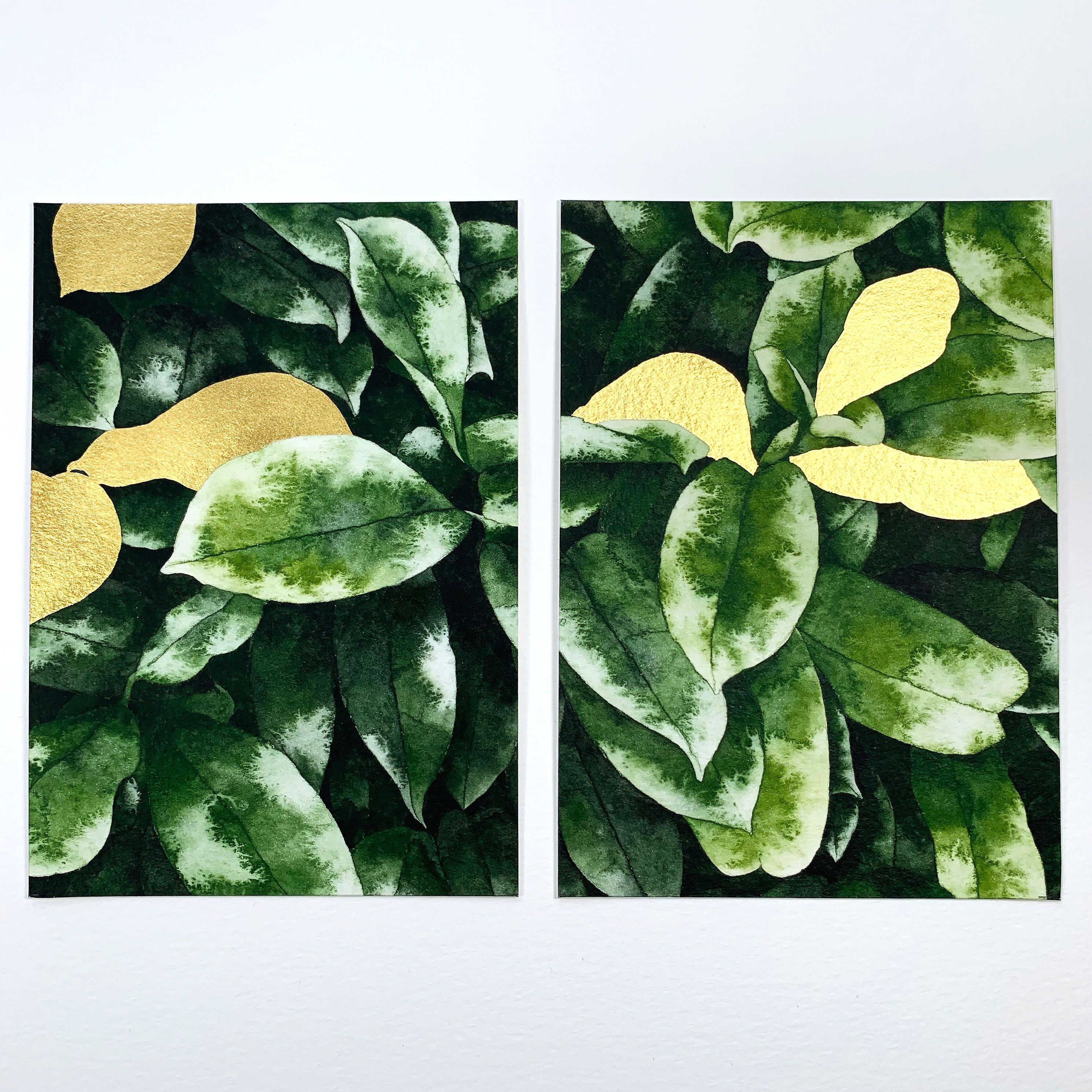 Nature versus/versus Nurture