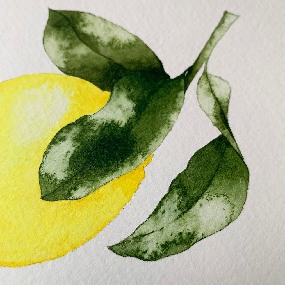 Thumbnail: Little Amalfi Lemon