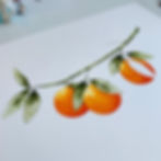 Thumbnail: The Orange Branch