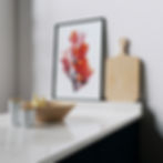 Thumbnail: Red Canna flower