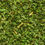 サムネイル： Great Value Parsley Flakes, 0.4 Oz
