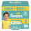 サムネイル： Pampers Swaddlers Baby Diapers Size 4, 66 Count (Select for More Options)