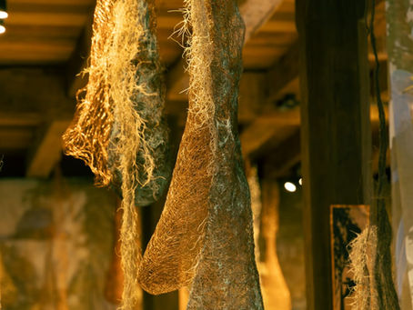 O Palácio d’Ouro recebe “João Congo”: arte, natureza e memória