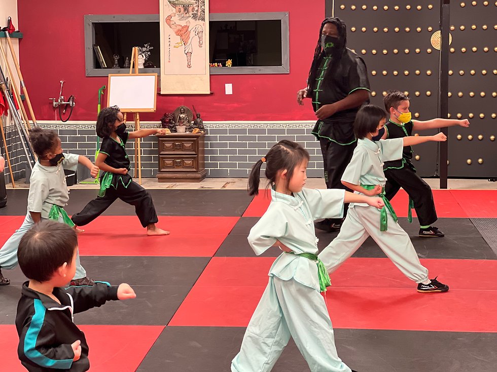 Straight Punch (冲拳)