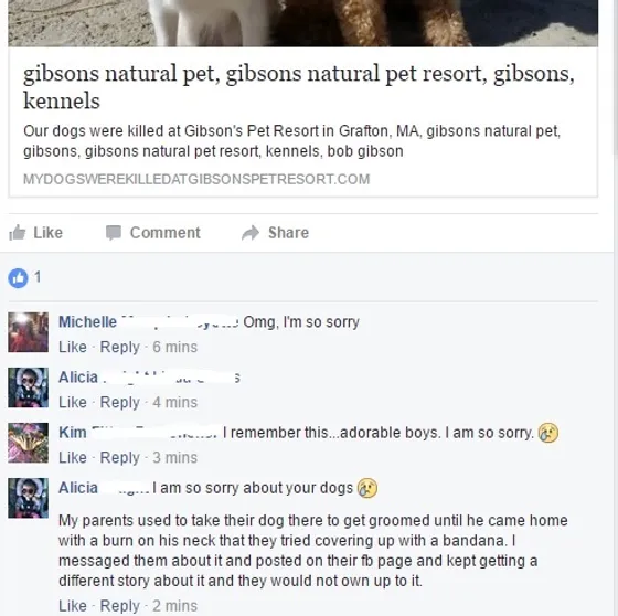 Barking Back Reviews Gibsons Natural Pet Resort