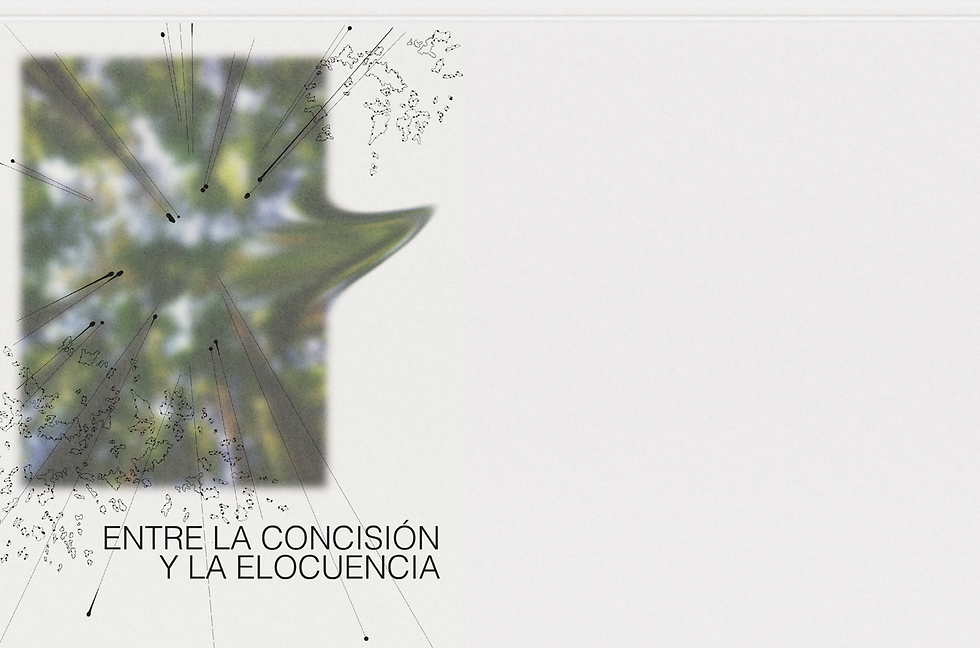 0_MOCKUP_GENERAL_CONCISIÓN Y ELOCUENCIA.png