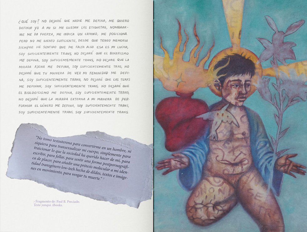 9_mockup_general_blanco_sanguaza_edited.jpg