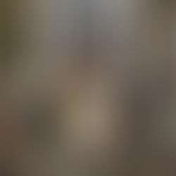 🇮🇩 印尼插畫家 / Lenny Wen / 童書插畫家