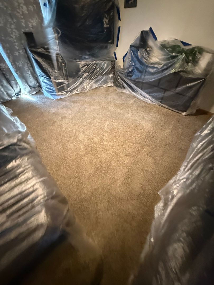 All furniture and contents fully wrapped and protected during the mold remediation process — nothing gets left exposed.