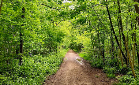 Qu’attendre d’une analyse : le concept de guérison en psychanalyse