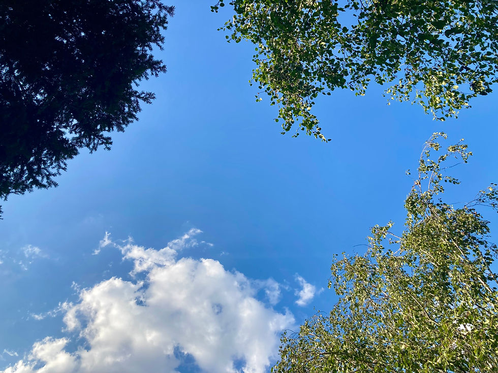 Photographie d'un ciel bleu