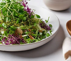 Salad with microgreens