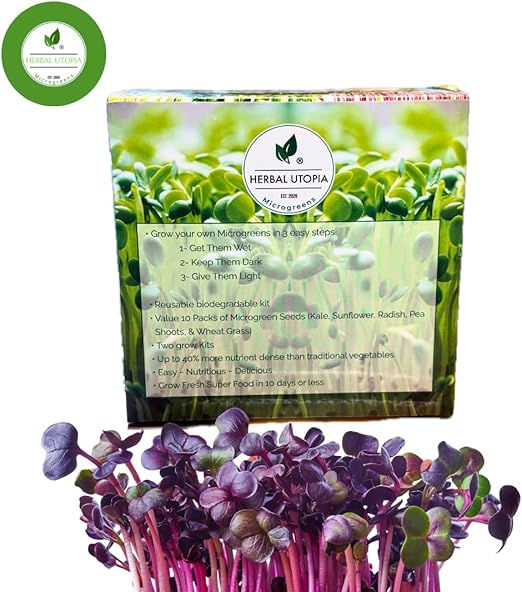 Compact microgreens system - all in one kit