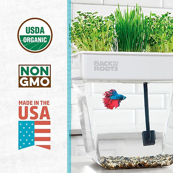 Back to the Roots compact microgreens growing