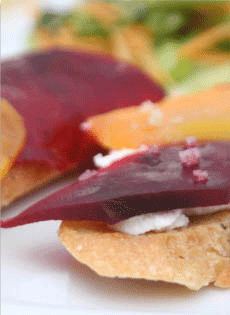 Photography-Beets
