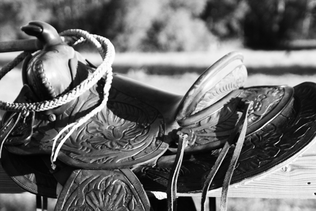 riderless saddle