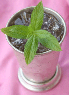 Photography-Mint-Julip