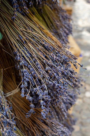 Bunches of aromatic dried lavender or lavandin flowers for sale in shop in Provence, Franc