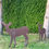Miniaturbild: Rost- Tiere aus Stahl