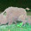 Miniaturbild: Rost- Tiere aus Stahl