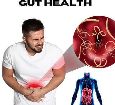 Gut health
