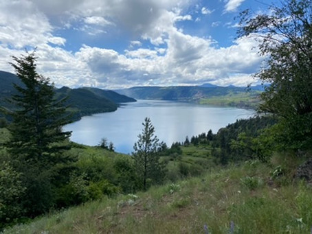 May/June 2020 Newsletter