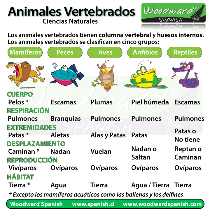 animales-vertebrados.gif