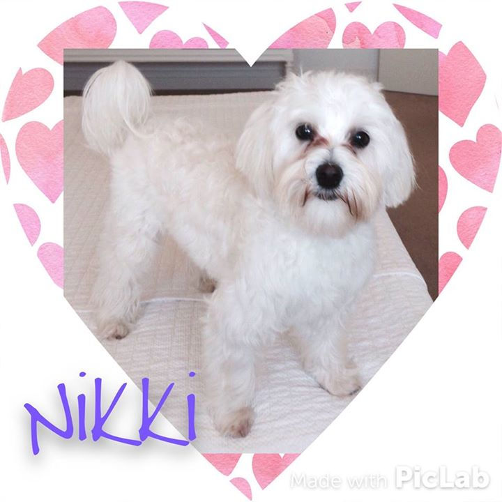 Happy Valentine´s day ;)